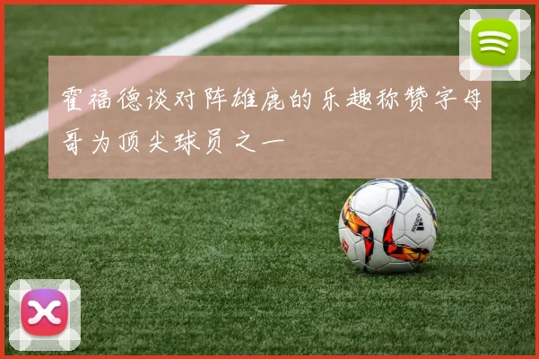 霍福德谈对阵雄鹿的乐趣称赞字母哥为顶尖球员之一