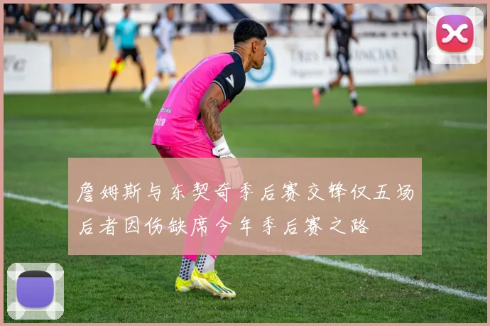 詹姆斯与东契奇季后赛交锋仅五场后者因伤缺席今年季后赛之路