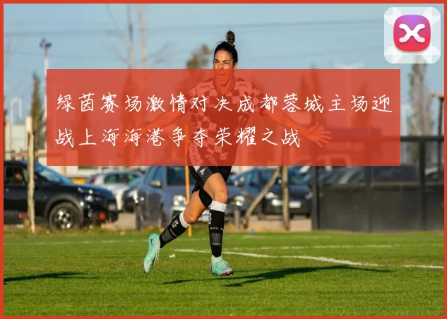 绿茵赛场激情对决成都蓉城主场迎战上海海港争夺荣耀之战