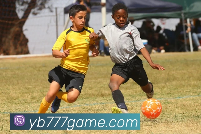 战术演练